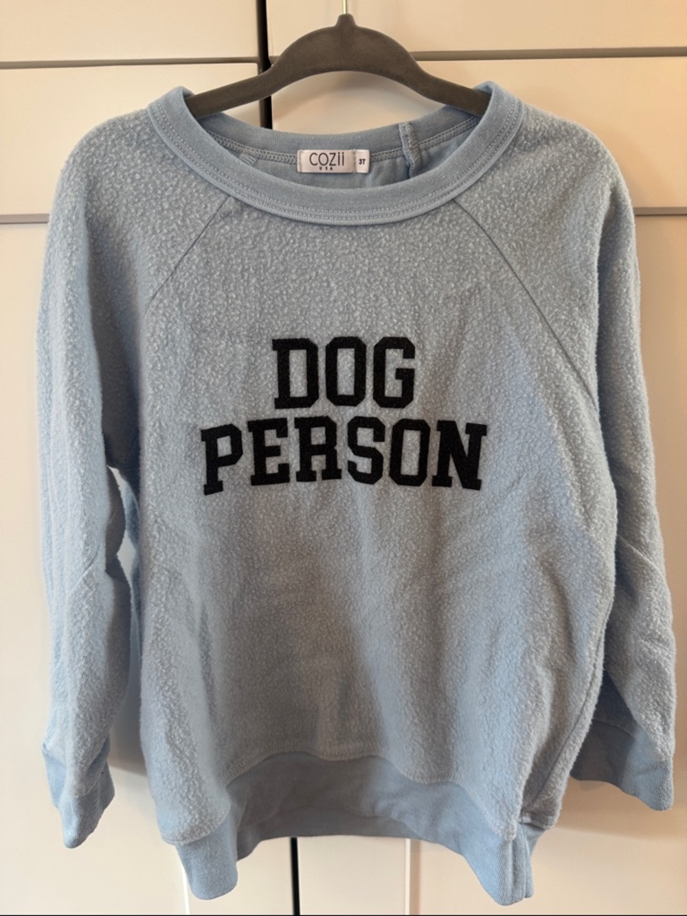 Light Blue Toddler "Dog Person" Pullover Sweatshirt